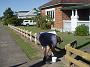 taree-fence-d 005